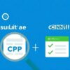 Qual a Diferença Entre Consulta de CPF e Consulta de CNPJ?