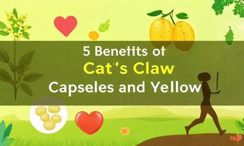 5 Benefícios da Cápsula de Unha de Gato e Uxi Amarelo