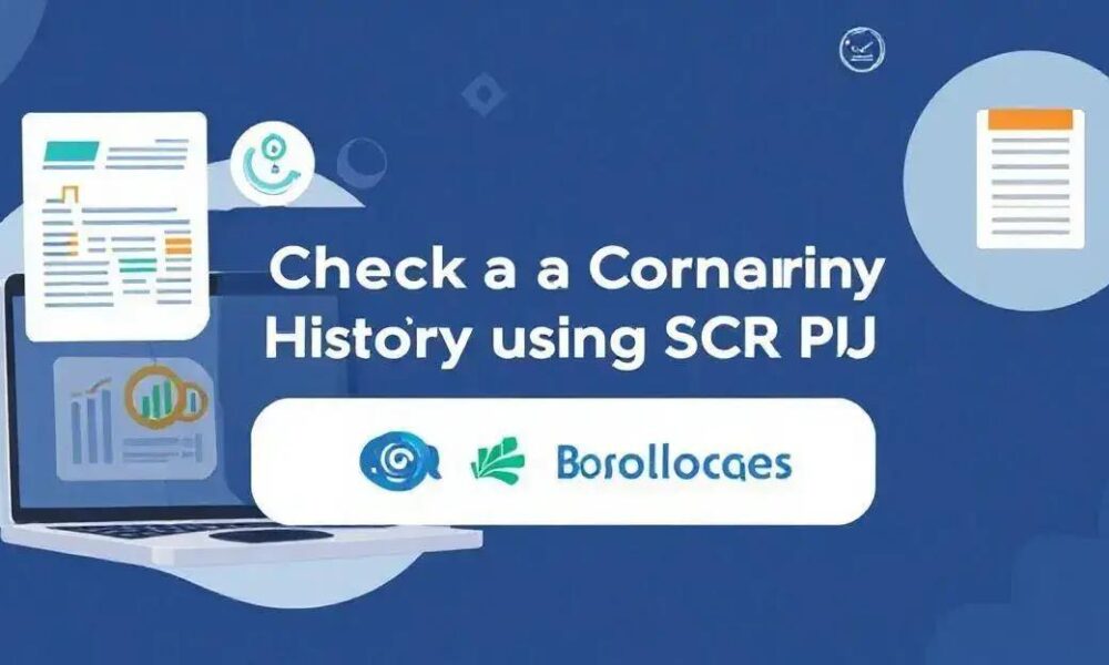 Como Verificar o Histórico de Crédito da Empresa com a Consulta do SCR PJ na Boa Soluções